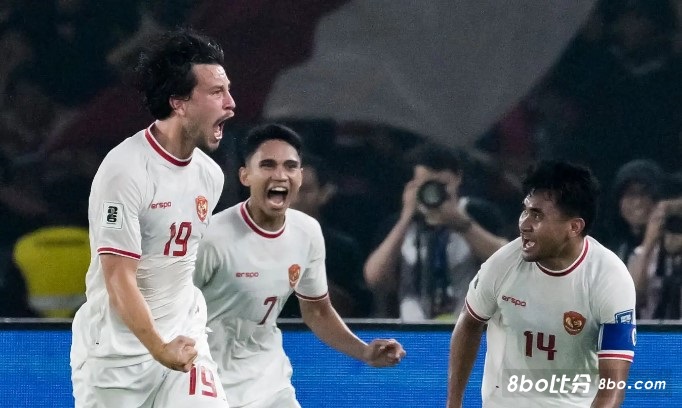 印尼足协秘书长：归化没花一分钱，他们效力印尼是出于内心的召唤